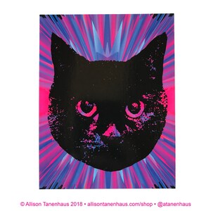 Rayos rosados • Gato negro Postal