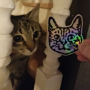 May include: A tabby cat peeks from behind a white railing, looking at a holographic sticker of a cat's face.