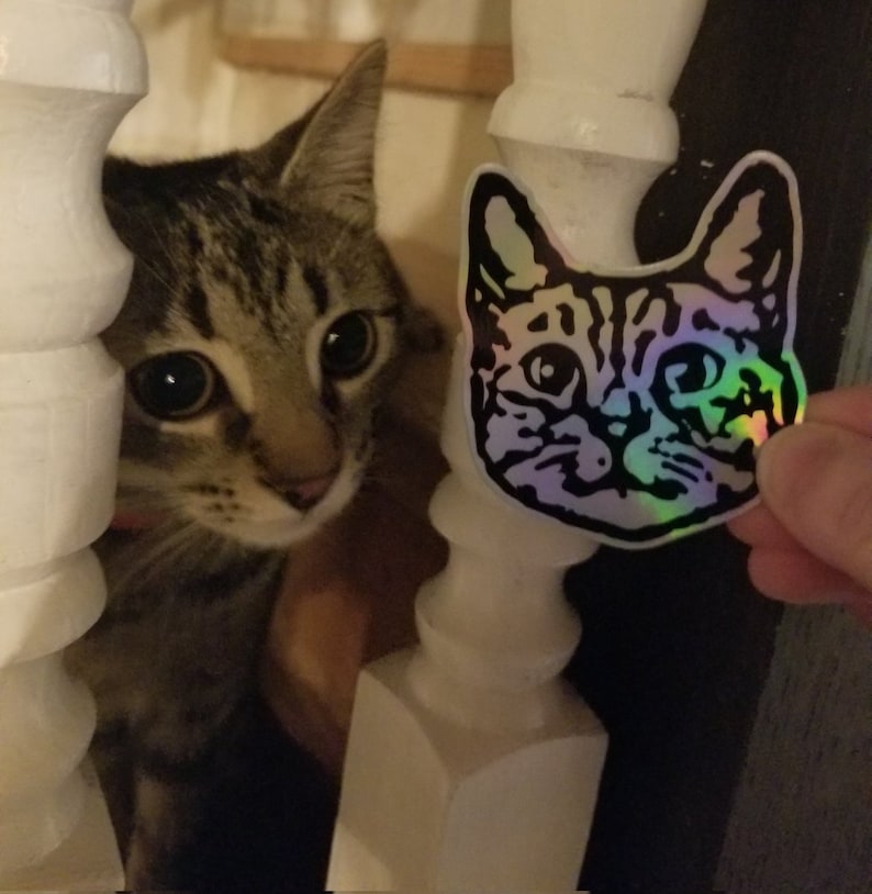 May include: A tabby cat peeks from behind a white railing, looking at a holographic sticker of a cat's face.
