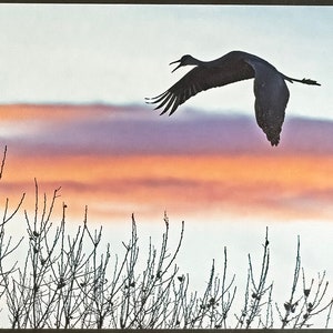 May include: Silhouette of a crane flying against a colorful sunset sky. The sky is a mix of orange, pink, and purple hues. The crane is in flight with its wings spread wide. The background is a blurry image of bare branches.