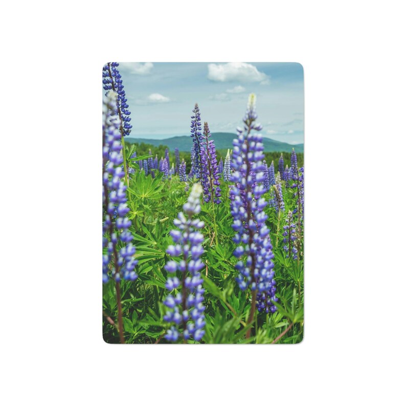 Lupines! Playing Cards: Photo taken in Rangeley, Maine, Floral Photo Gifts Landscape Photography, Nature Fine Art Images image 2