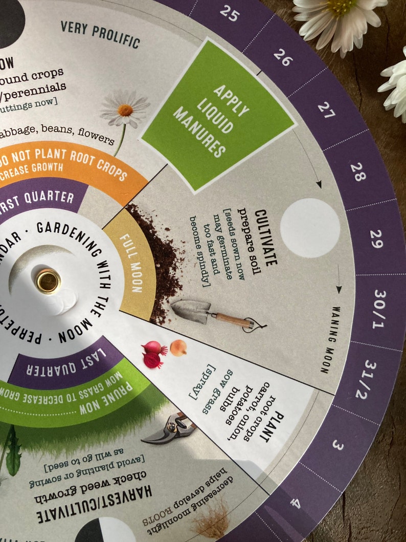May include: A circular gardening calendar with text and illustrations. The calendar features sections for planting, pruning, and harvesting, with phases of the moon indicated. The text includes "Apply Liquid Manures" and "Plant root crops". Daisies are in the background.