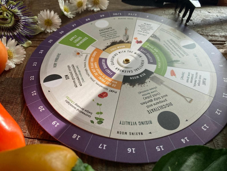May include: A circular gardening calendar with a purple and white design, featuring phases of the moon and gardening tips. The calendar is surrounded by fresh vegetables and flowers, including daisies and passionflowers.