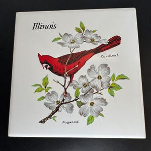 Azulejo de recuerdo de Illinois, decoración de pared con flor de cornejo cardenal, 15 x 15 cm