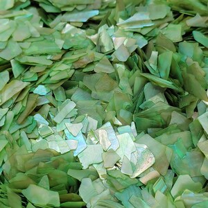 5g Sea Green Abalone - Paua Shell Slices. Arts and Crafts, Nail Art, Collage, Mosaics, Jewelry Making, Embellishements