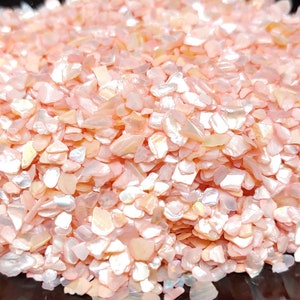 Light Coral freshwater shell Flakes, Approximately 5g container, Mosaics, Nails, Jewelry Making, Resin, Crafts,