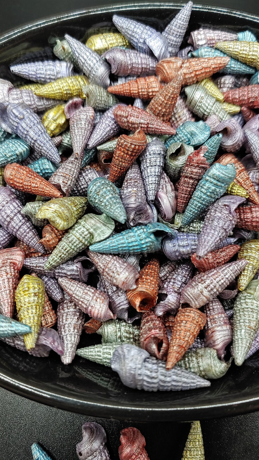 Dyed Shell Dyed Cerithium Shells, 2oz, Mixed Matte Colors, Decoration, Resin ...