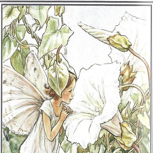 Vintage Flower Fairies of the Wayside,   1974 Paperback Book