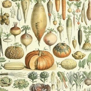 Printables - Vegetables Poster by Adolphe Millot, Wall Hanging, Artwork, Instant Download, Set of Two