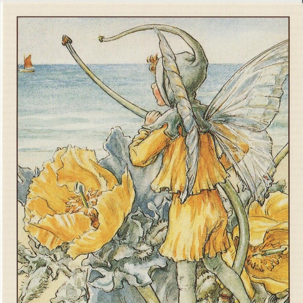 Flower Fairies Postcards,  Set of Ten, Postal Item