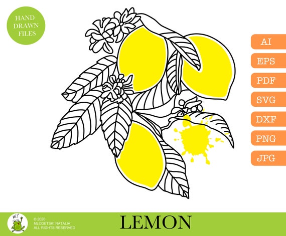 Lemon SVG Lemon Clipart SVG Cut Files PNG Files Digital. - Etsy