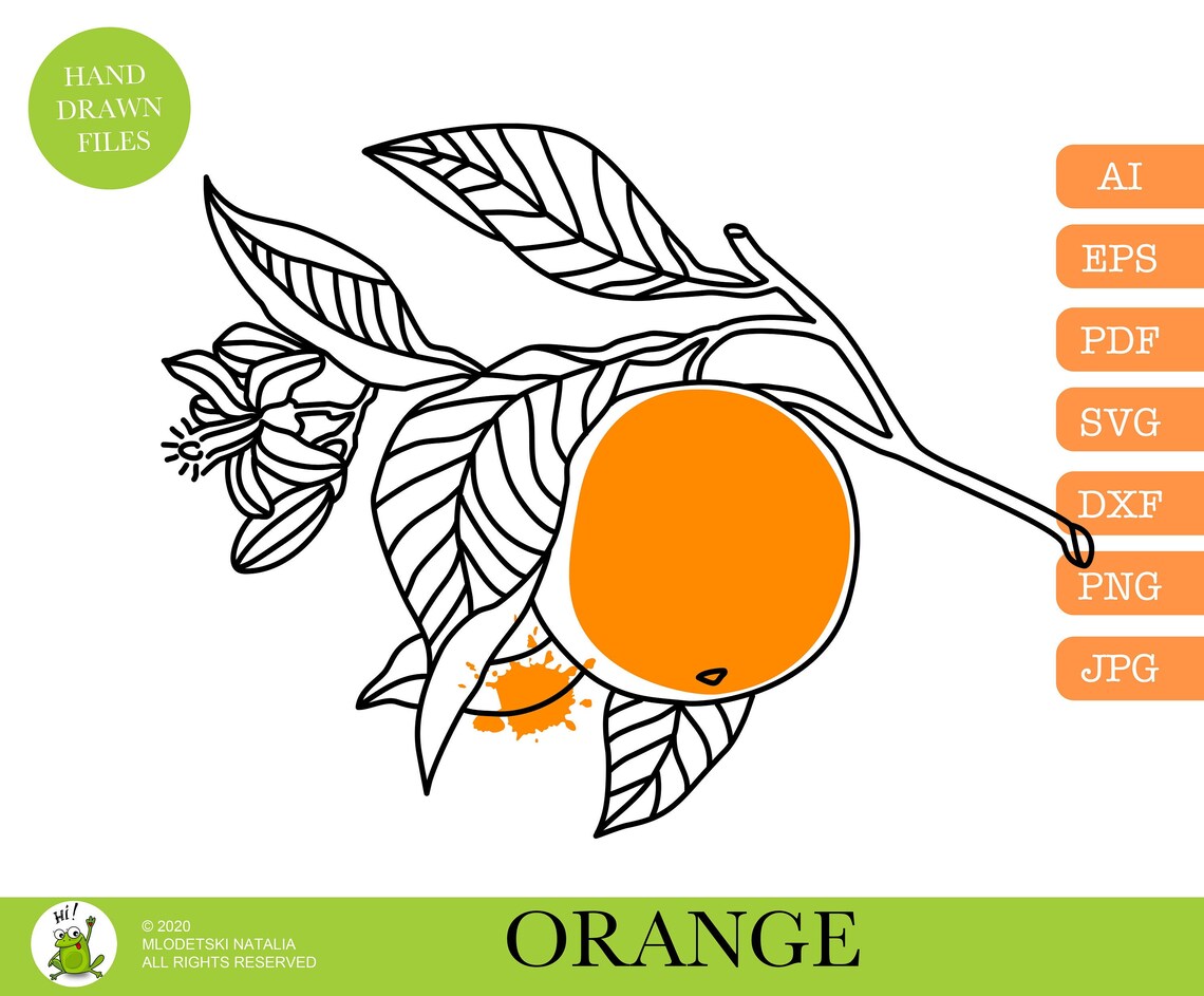 Orange branch svg orange SVG orange clipart orange vector. | Etsy