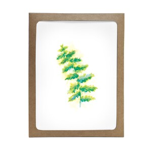 Coffret de 8 - Happy Fern I Cards