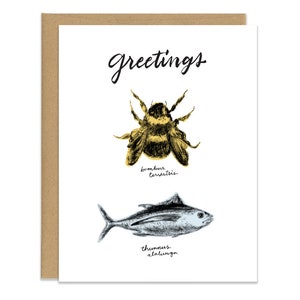 Bumble Bee Thunfisch Grüße / Hallo - Ace Ventura inspiriert Karte