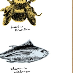 Bumble Bee Tuna Greetings / Hello Ace Ventura Inspired Card image 2