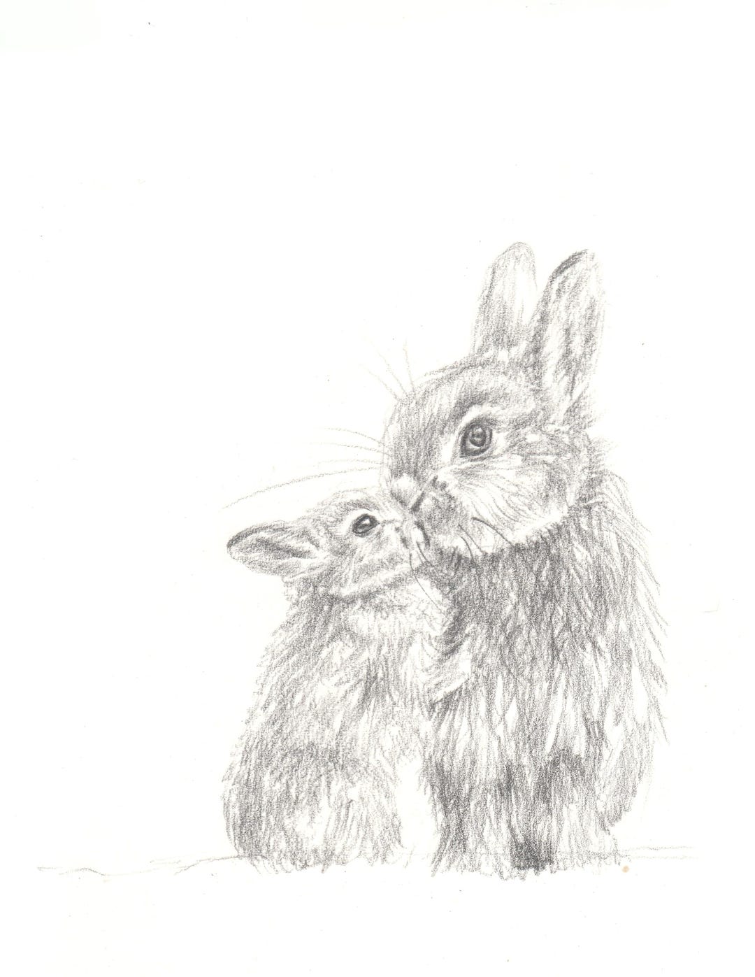Hand Draw Rabbit Hand Drawn Bunny Rabbit Art Print: Minimalist Nursery Woodland Animal ...