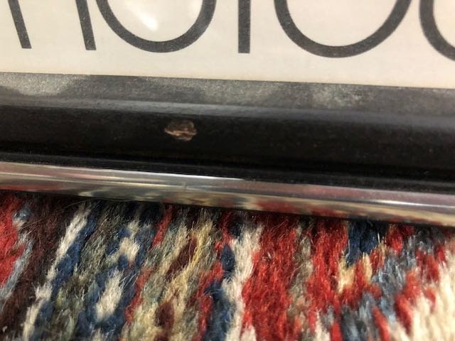 リチャードアヴェドン ビンテージ フォトTシャツ ナスターシャ