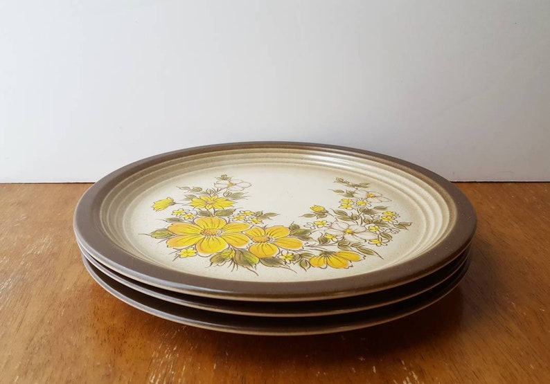 3 Wallace Heritage Painted Desert Summer Morn Dinner Plates