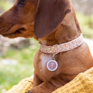St Francis Pet Tag SM / pink/ st francis collar charm - St Francis protect my pet tag - St Francis dog ID tag - st francis pet id tag
