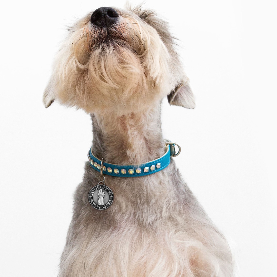 St. Francis Antique Silver Pet ID Tag - Large (29mm) - Etsy