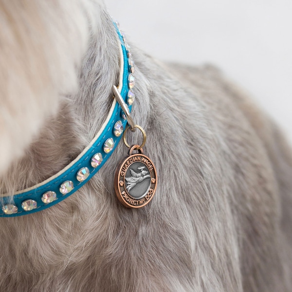 Dog Collar Charm Etsy