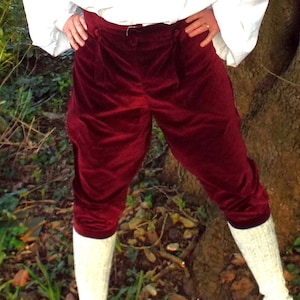 Gentleman's velvet fall-front breeches, 18th/19th century, quality handmade: theatre, re-enactment, Darcy or Dickens, Georgian and Regency