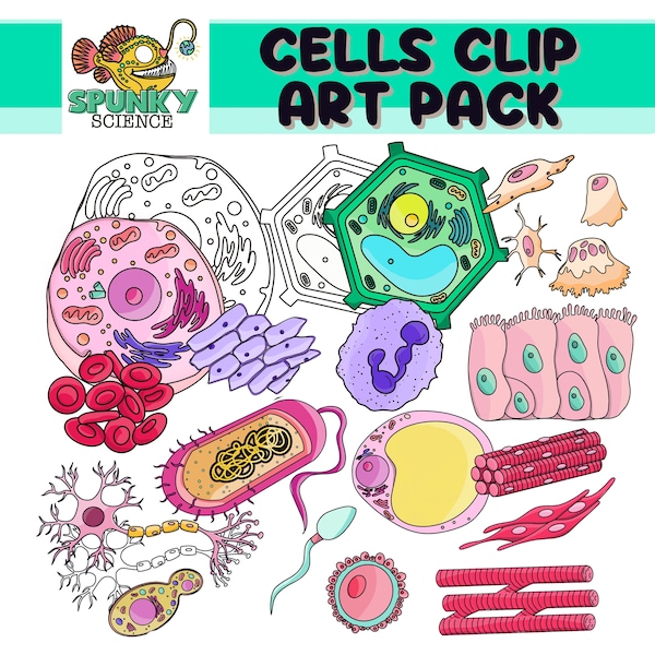 Cell Clip Art- Animal, Bacteria, Plant Cell Collection of 36