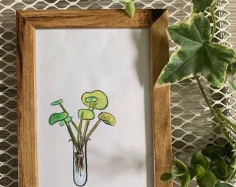 Kleine Aquarell Malerei Rahmen pilea chinesische Geldpflanze