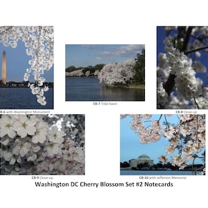 Cherry Blossoms Set #2, Washington DC - a set of 10 5x7 notecards (blank note card set / greeting card set)