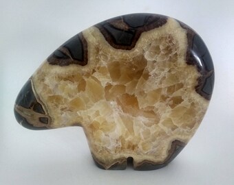 Fossils Rocks Gifts Jewelry by MazzRocks on Etsy