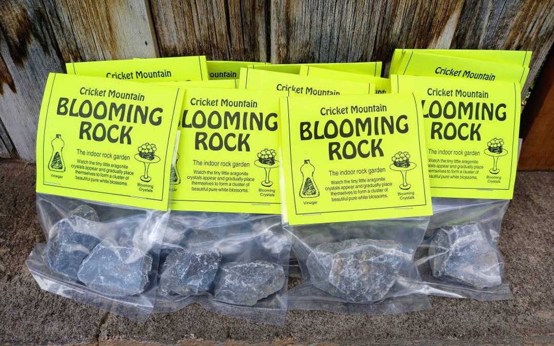 Blooming Rocks 2 Pack BLOOMING ROCK Grow Your Own Crystals Kits - Etsy