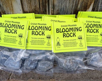 2 Pack BLOOMING ROCK Grow Your Own Crystals Kits