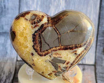 Corazón de nódulo septariano