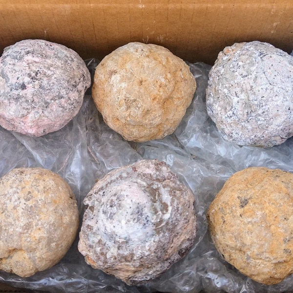 Break Your Own Geodes 6 PAK Two Different Kinds