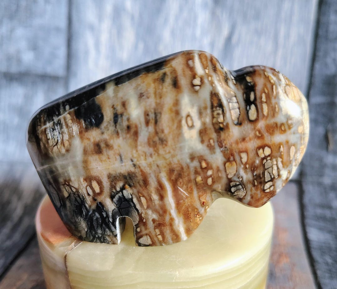 Picasso Stone Bison - Etsy