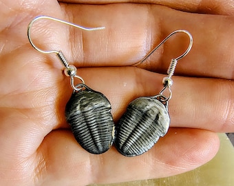 Réplicas de joyería de trilobites en peltre