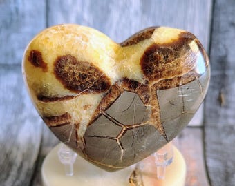 Corazón de nódulo septariano
