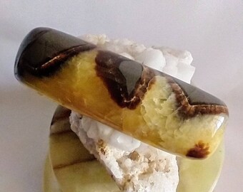 Nódulo septario Cabochon Utah Septarian