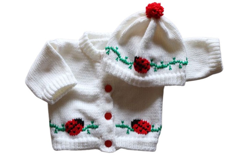 Lady Bug Knitted Baby Sweater, Personalized Knitted Baby Sweaters, Ladybug Baby Sweater, Baby Sweaters, Ladybug Baby Bodysuit, Baby Clothes image 4