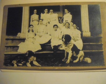 1800s Vintage Photograph St. Bernards and Ladies - Mounted