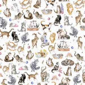 Whiskers & Paws, Directional Cats White 10414 W, Hannah Dale, Maywood Studio, Quality Quilting Cotton, Fabric By The Yard and Half Yard
