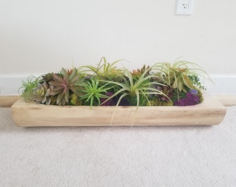 Home Accent Succulent Wooden Planter with Amethyst Geodes