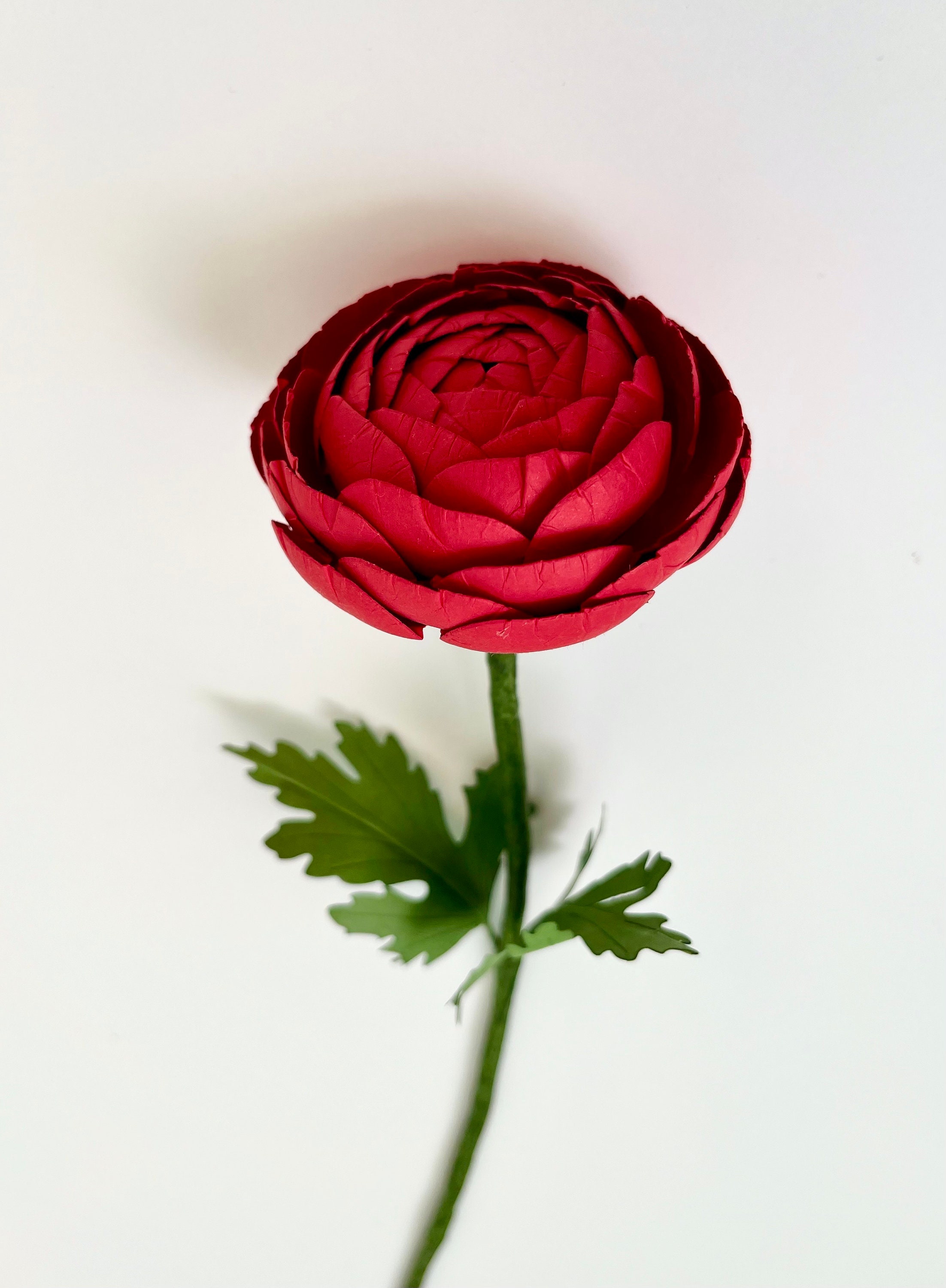 Paper Flower Ranunculus Ranunculus Paper Flowers - Handmade Eco Friendly - Etsy