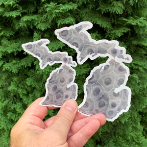 May include: A white vinyl sticker of the state of Michigan with a gray and white pattern of fossilized crinoids. The sticker is held in a hand.