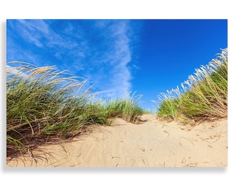 May include: A path through tall green grass leads to a sandy beach with a bright blue sky and white clouds.
