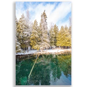 May include: A snowy winter scene with a forest of evergreen trees reflected in a clear, green lake. The trees are covered in a light dusting of snow, and the lake is calm and still.