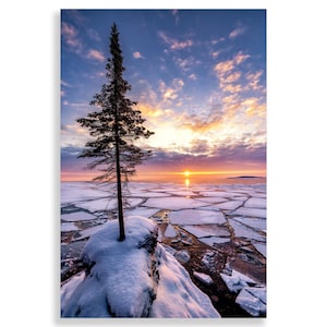 May include: A lone pine tree stands on a snow-covered rock outcropping overlooking a frozen lake at sunset. The sky is a vibrant mix of pink, orange, and purple hues, with the sun setting in the distance. The lake is covered in ice, which has broken into large, jagged pieces.