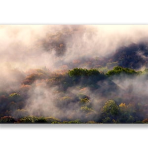 Fine Art Print - Foggy Morning in the Porcupine Mountains - Michigan Upper Peninsula - Free Shipping
