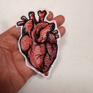 Può includere: Toppa ricamata rossa a forma di cuore anatomico con contorno nero.
