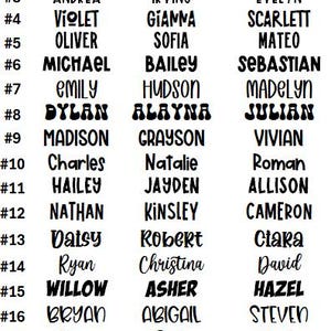 May include: A chart titled Font Options displaying twenty numbered rows of black text on a white background. Each row features three distinct names written in various typographic styles, ranging from bold block letters to cursive scripts.